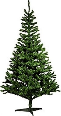 Tester Av Plastgranar De 11 Basta Plastgranarna 2020 Test Se