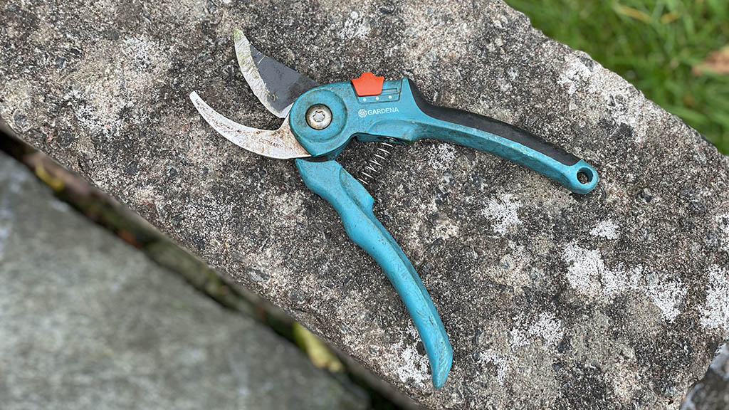Bäst i test sekatör - testvinnande sekatörer.