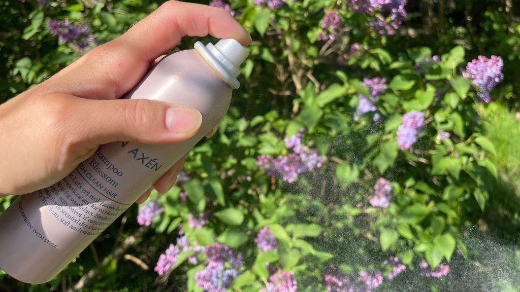 Björn Axén Björn Axén Dry Shampoo - Test